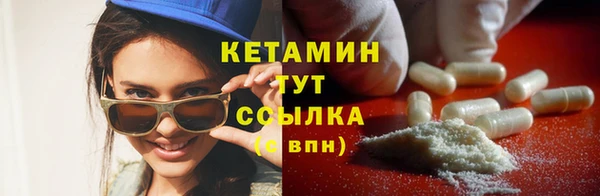 сатива Гусь-Хрустальный