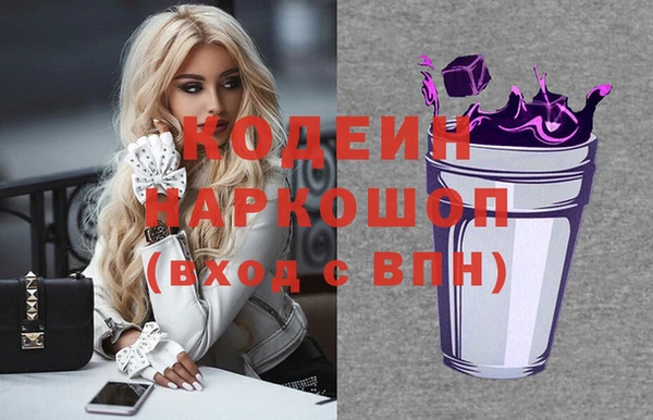 сатива Гусь-Хрустальный