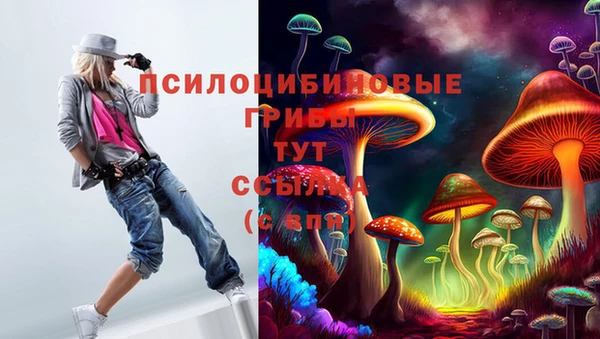 сатива Гусь-Хрустальный