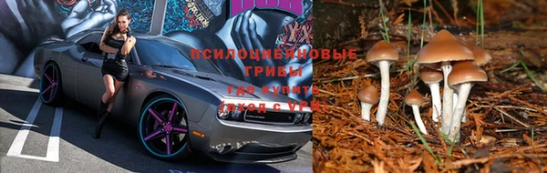 соль курить ск Шадринск