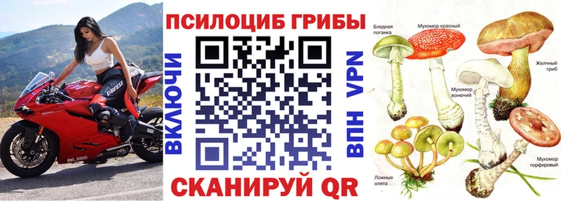 Псилоцибиновые грибы мицелий  Пересвет 